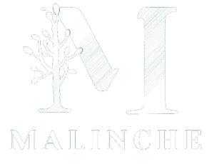 logo Malinche